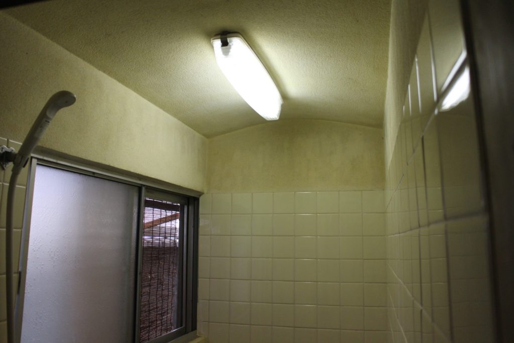 シャワールームの天井塗装しました 日暮荘ブログ
